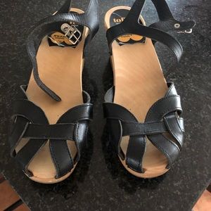 Black Swedish Hasbeens